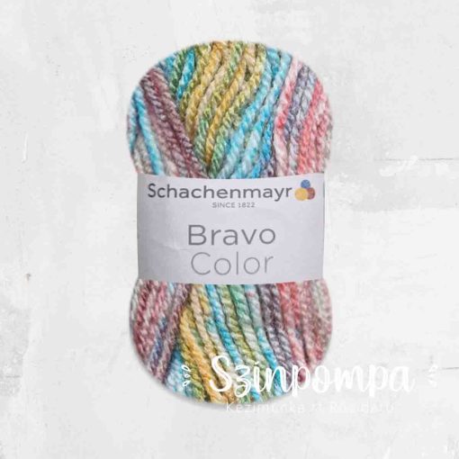 Schachenmayr Bravo Color - 02120