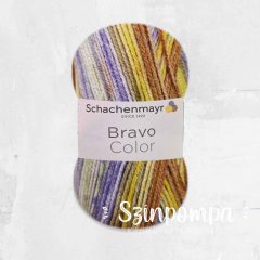 Schachenmayr Bravo Color - 02121
